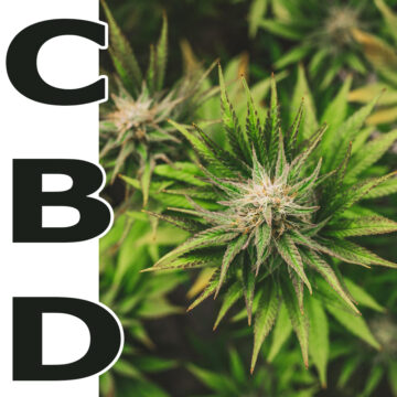CBD