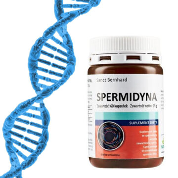 DNA
