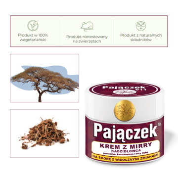 pajączek
