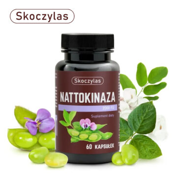 nattokinaza